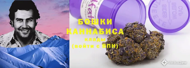 как найти наркотики  Красноуральск  Каннабис White Widow 